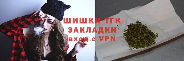 соль ск Рославль