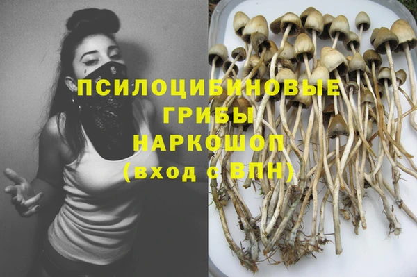 соль ск Рославль