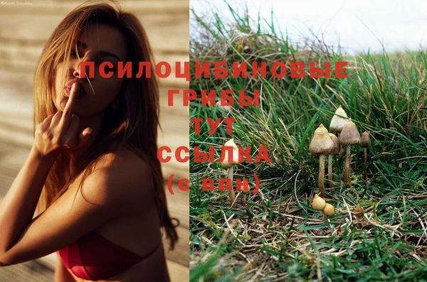 соль ск Рославль