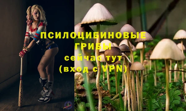 mix Иннополис