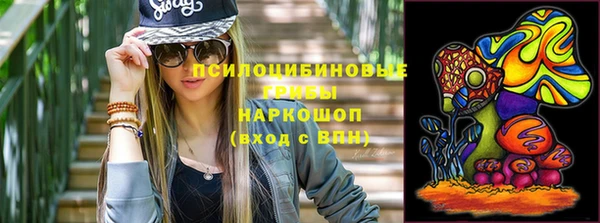 соль ск Рославль